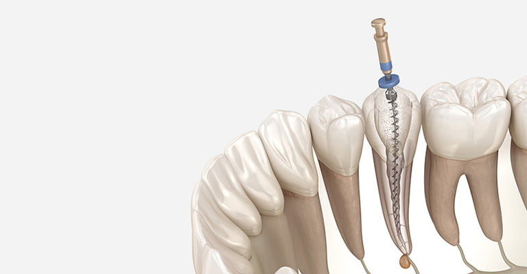 当院からのお知らせ背景02